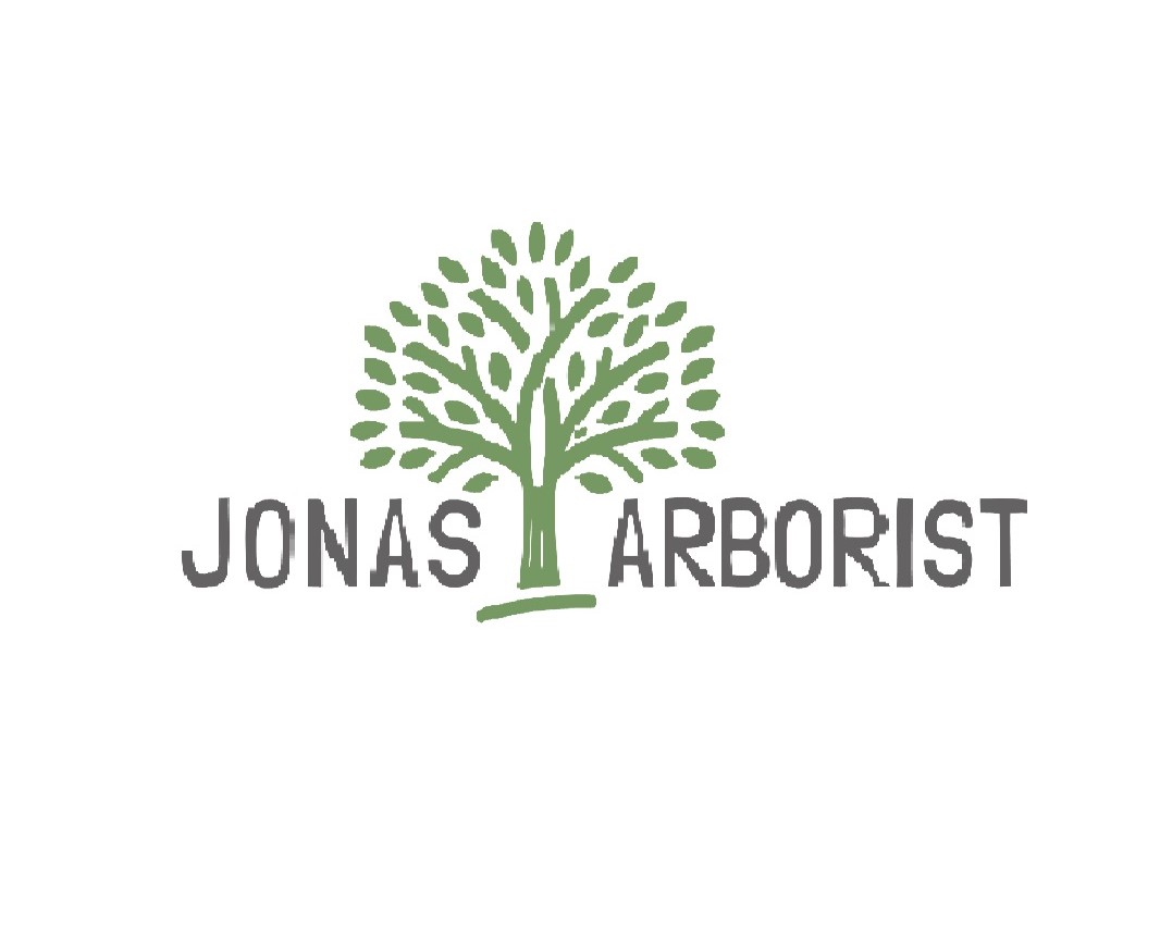 Jonas Arborist